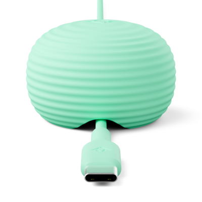 Twelve South CableStay USB-C kabel met houder mintgroen
