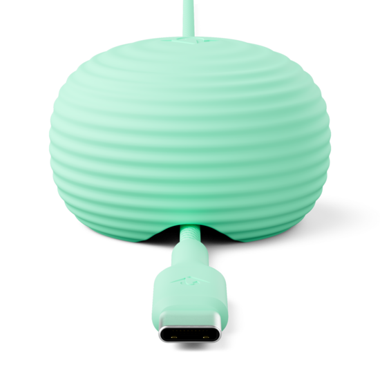 Twelve South CableStay USB-C kabel met houder mintgroen