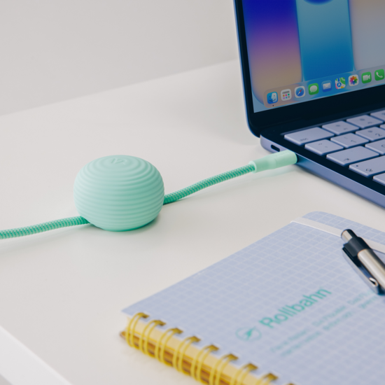 Twelve South CableStay USB-C kabel met houder slate