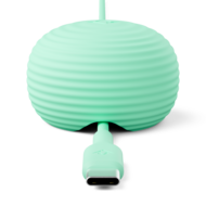 Twelve South CableStay USB-C kabel met houder mintgroen
