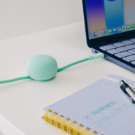 Twelve South CableStay USB-C kabel met houder slate