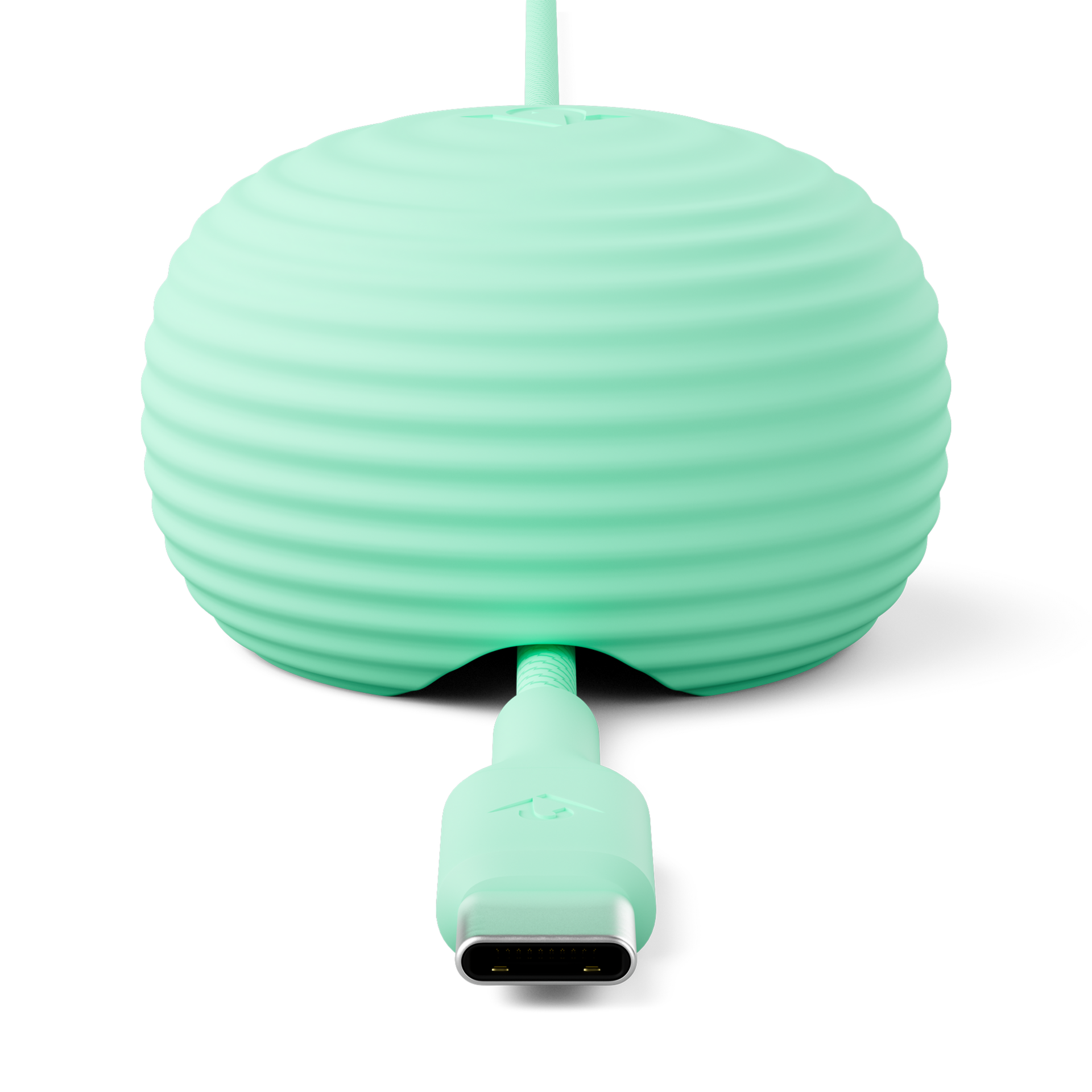 Twelve South CableStay USB-C kabel met houder mintgroen